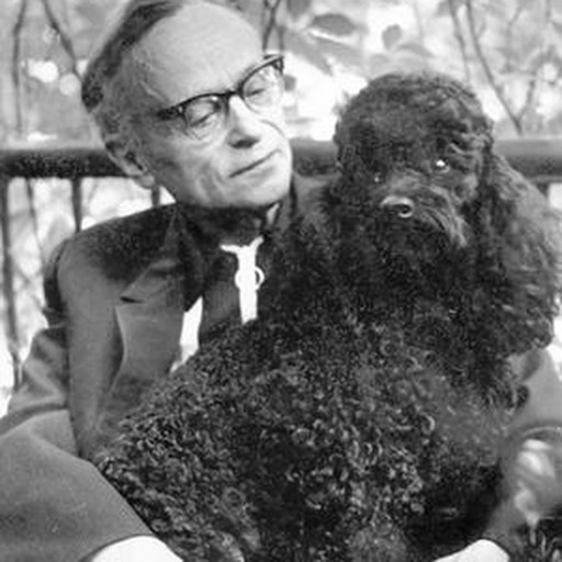 Volodymyr Vladko